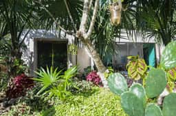 Villa Alebrije, pool, AC near lagoon - Image 5