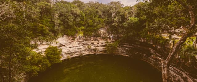 Vista aérea de un cenote rodeado por el denso dosel de la selva de Yucatán