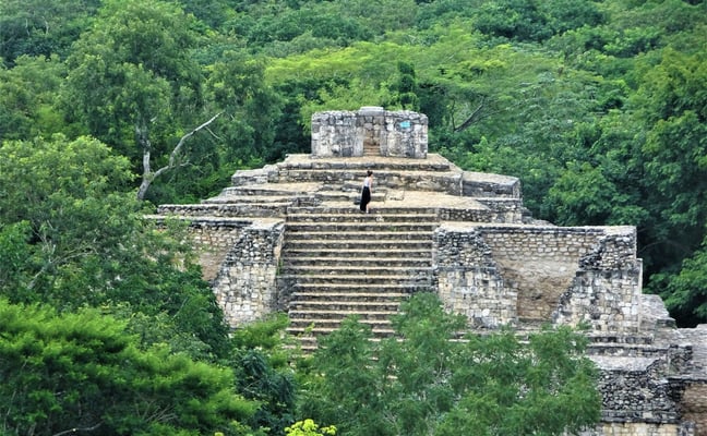 Stepped Maya pyramid rising out of dense jungle canopy, Yucatan Mexico