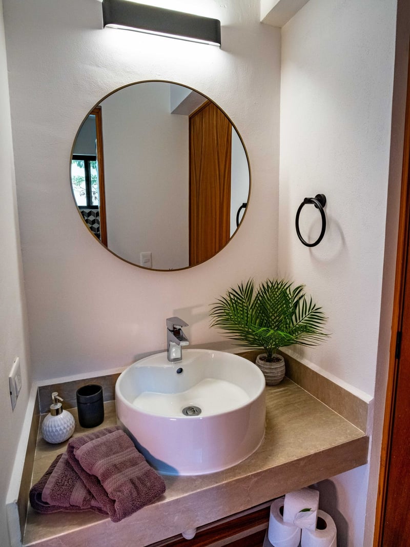 Small bathroom with a round mirror, vessel sink, and a decorative plant.